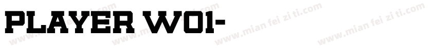 player w01字体转换